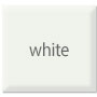 exterior paint color swatch - white