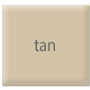 exterior paint color swatch - tan